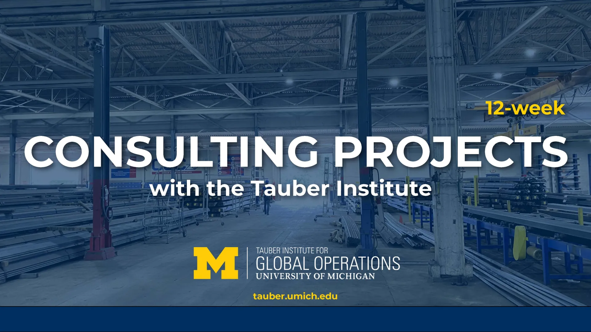 consulting projects