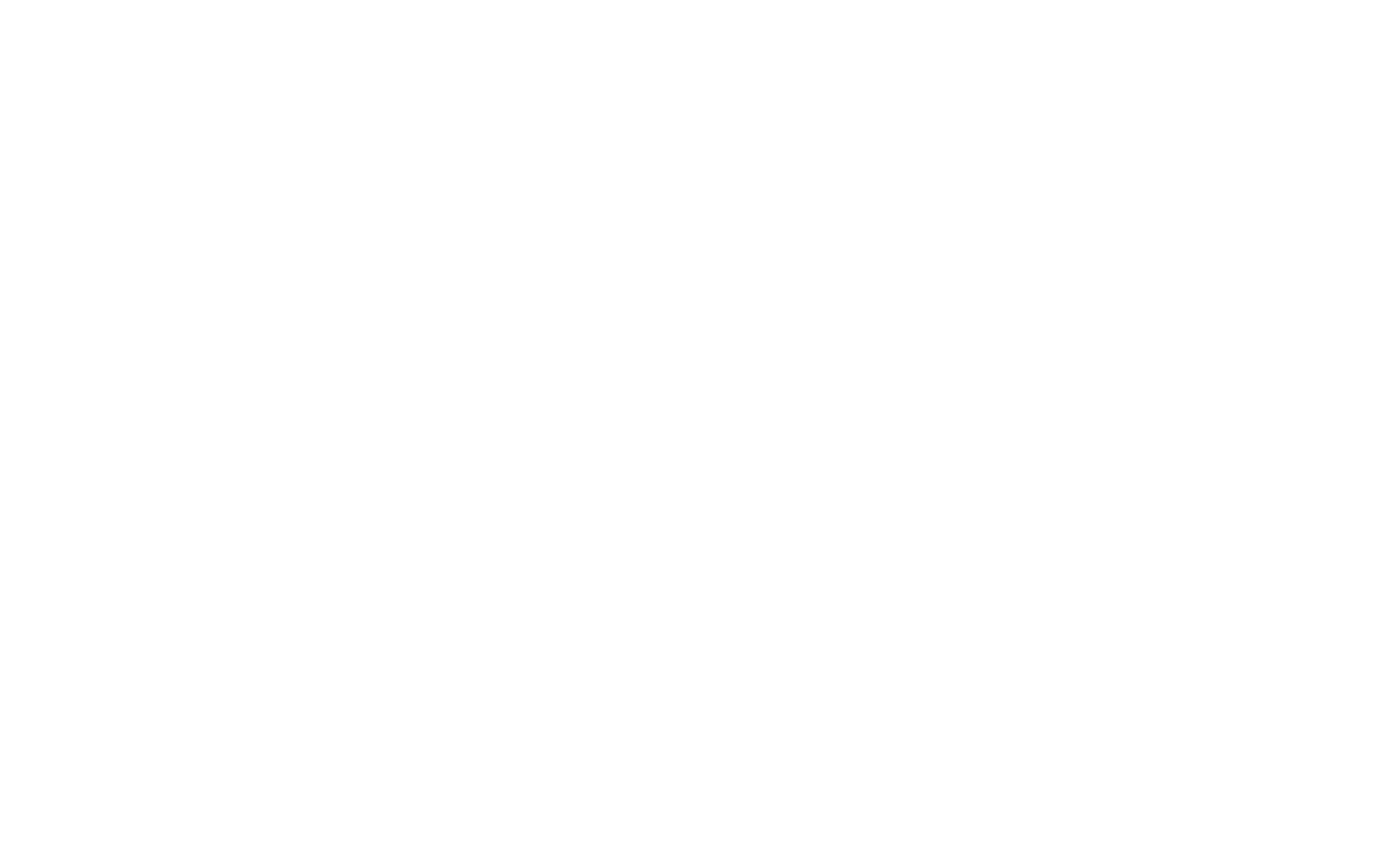 American Industrial Partners Logo