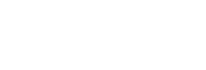 American Industrial Partners Logo