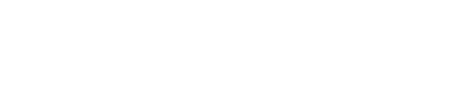 BorgWarner Inc. Logo
