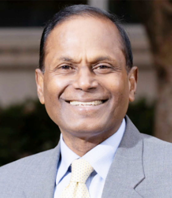 Portrait of Tauber faculty advisor Vijay Pandiarajan