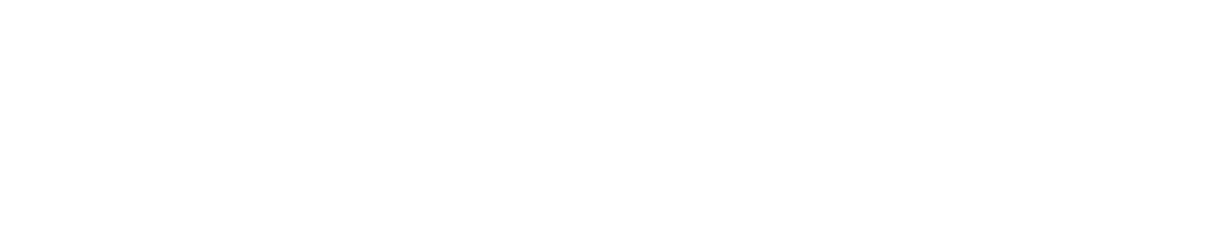 Serva Group Logo