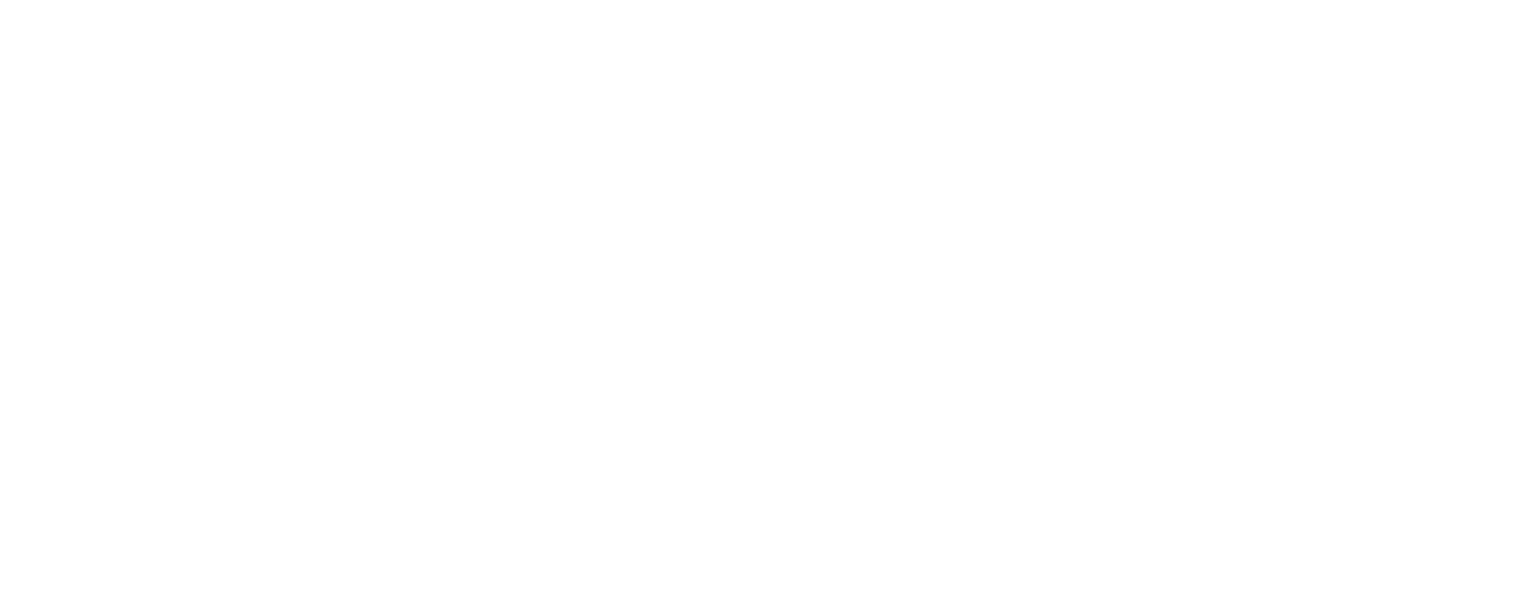 Navitas Systems Logo